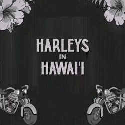 موزیک Harleys In Hawaii با صدای مرد